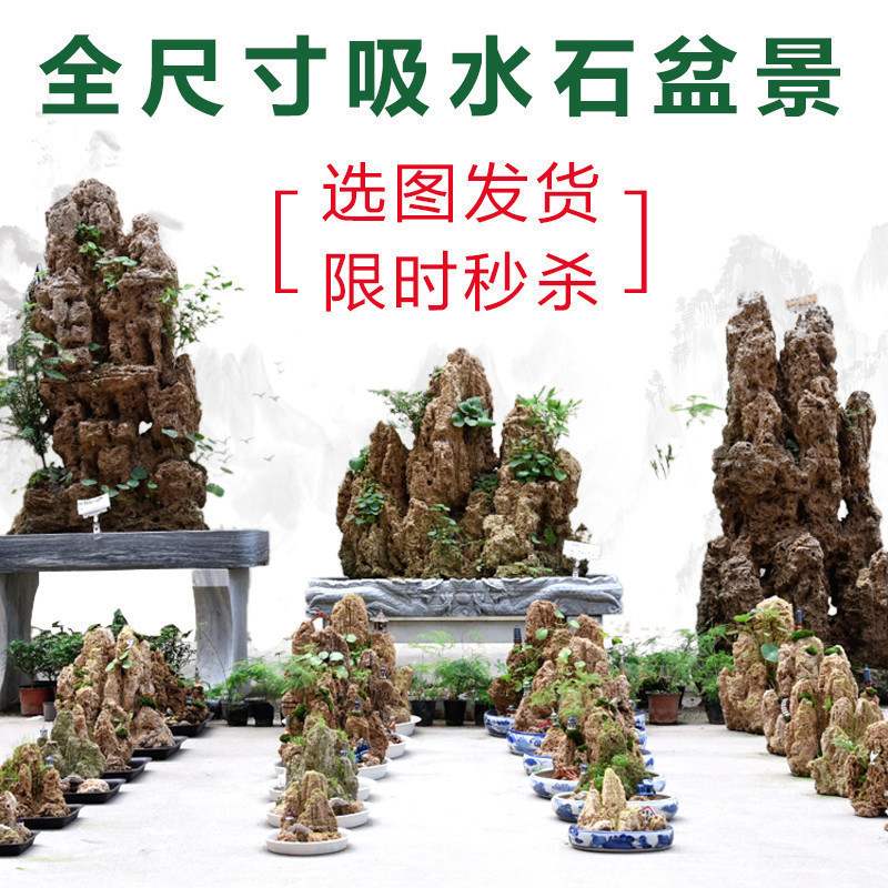 石光小站吸水石假山盆景上水石微景观假山石头天然奇石原石观赏石