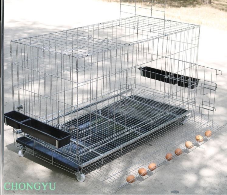 共98 件捕田鸡笼相关商品