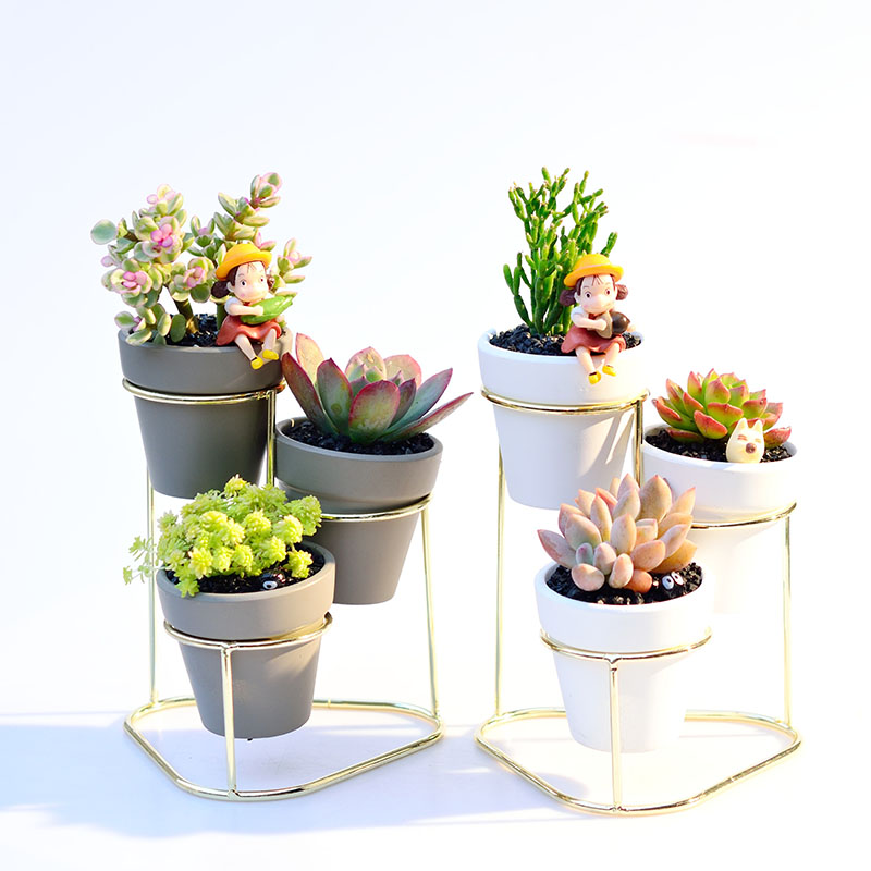 网站地图 鲜花速递/花卉仿真/绿植园艺 多肉植物 创意迷你盆栽 > 组合