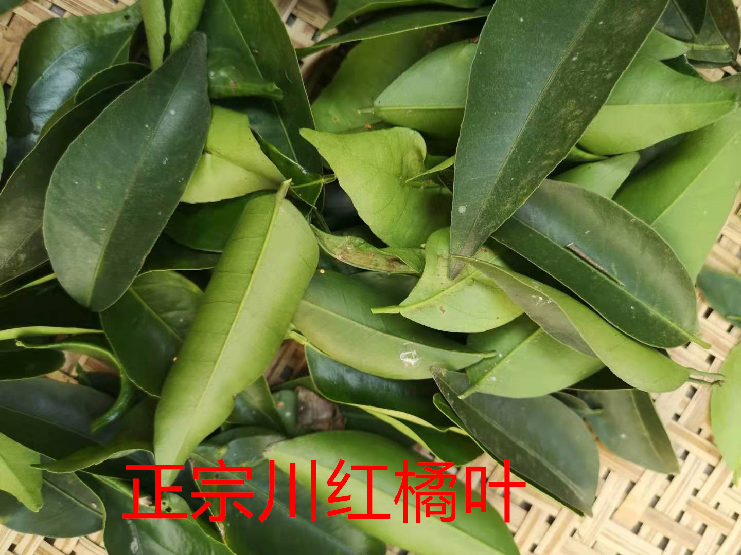 橘子叶功效|橘子叶的功效|橘子叶副作用|的功效与作用