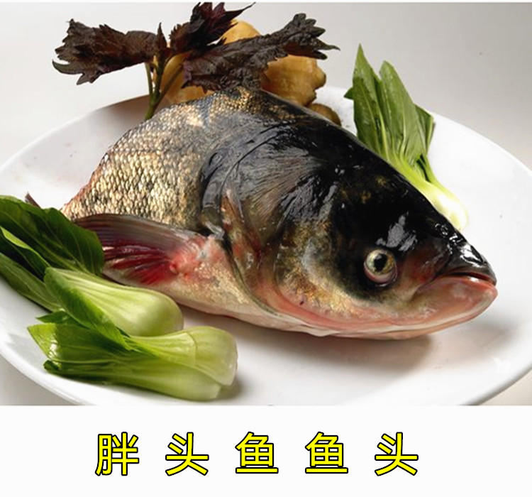 鲜活海鲜水产 胖头鱼头 鲜鱼头(2-2.5斤/个)现杀冷藏配送