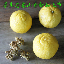 【象山青桔子】_象山青桔子推荐_品牌_价格_