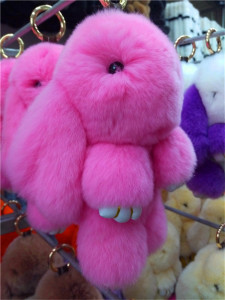 彩虹岛死霸装怎么得,彩虹岛哈密瓜