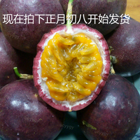 种热带绿色新鲜水果送-红果 水果酸爽香甜【南